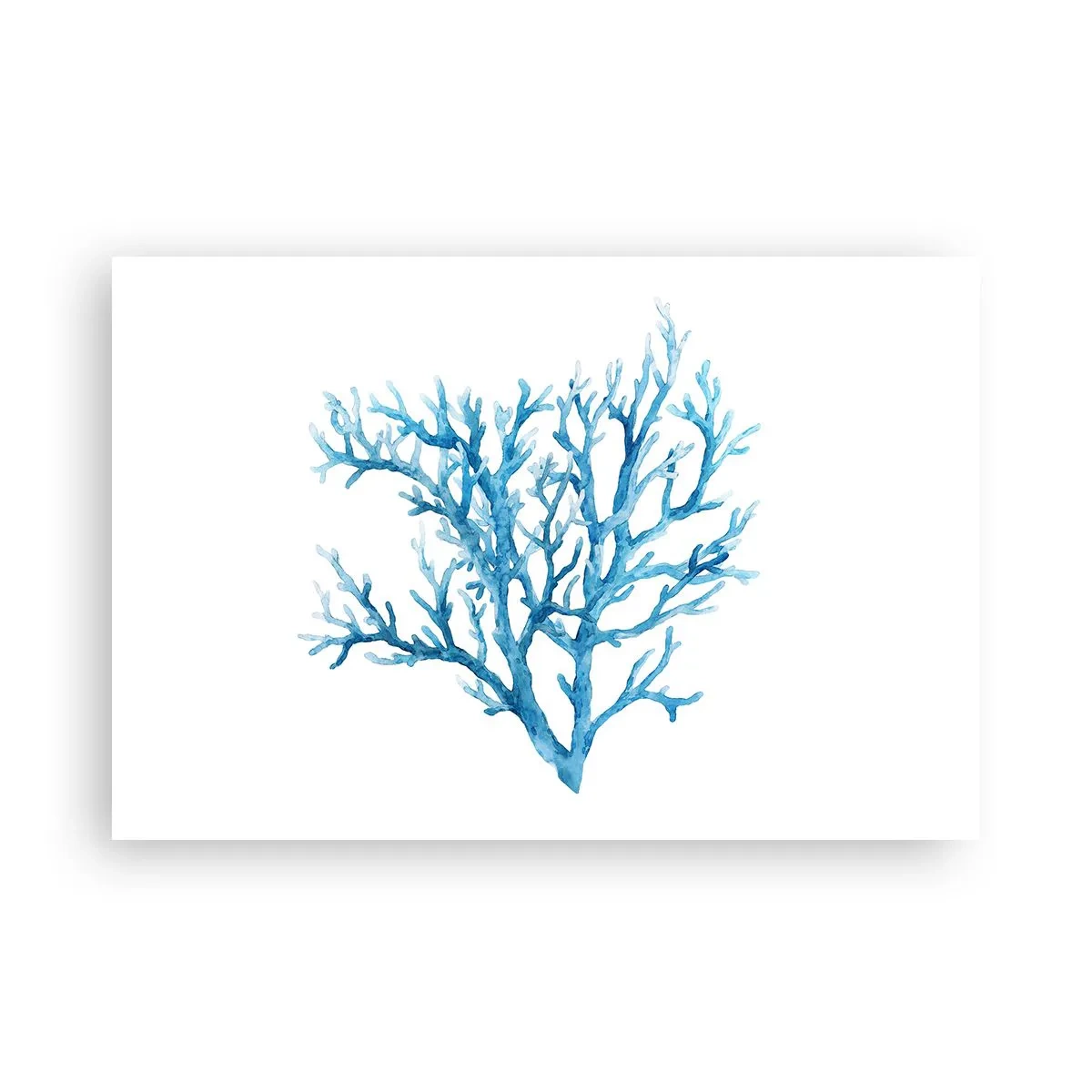 Poster - Filigranul marin - 91x61 cm