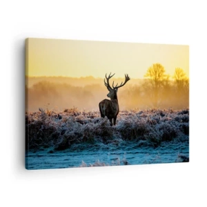 Tablou pe pânză Canvas - O căprioară într-o poiană înghețată la răsărit - 70x50cm - Încoronat pe domeniul său - Decorațiune modernă pentru perete pentru living și dormitor ARTTOR
