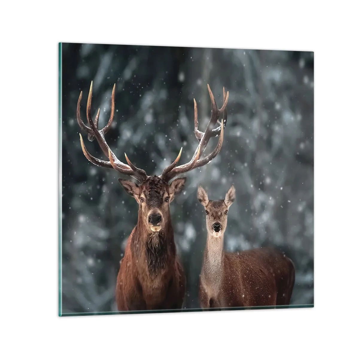 Tablou pe sticlă - Stăpânul pădurii și soția sa - 60x60 cm