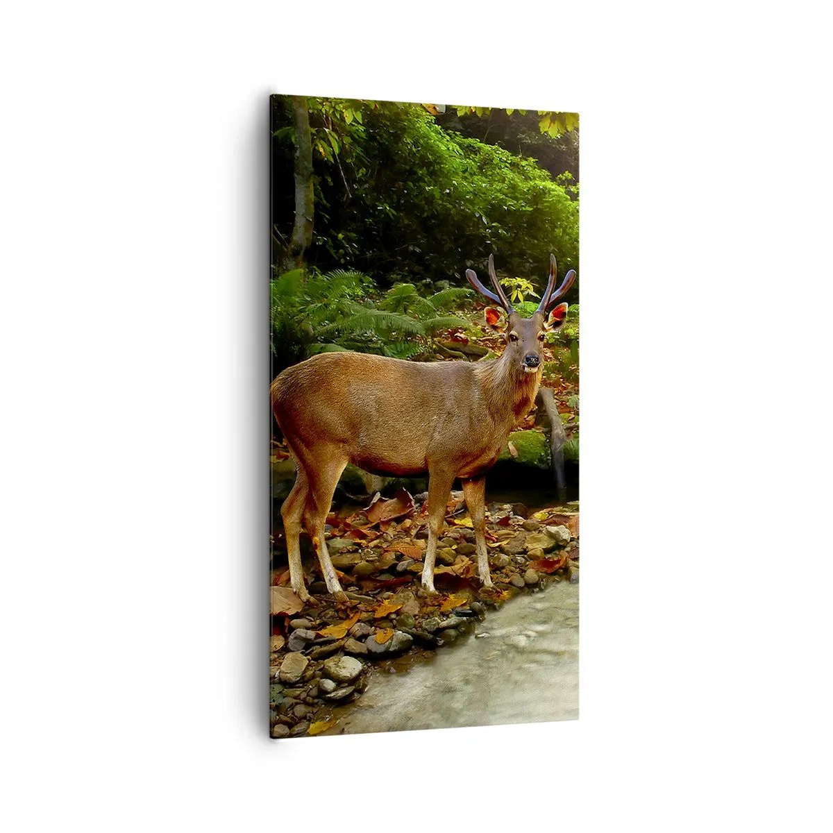 Tablou pe pânză - Bun venit în lumea mea - 65x120 cm