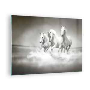 Tablou pe sticlă - Trei cai albi galopând prin apă - 70x50cm - Nebunie albă - Decorațiune modernă pentru perete pentru living și dormitor ARTTOR