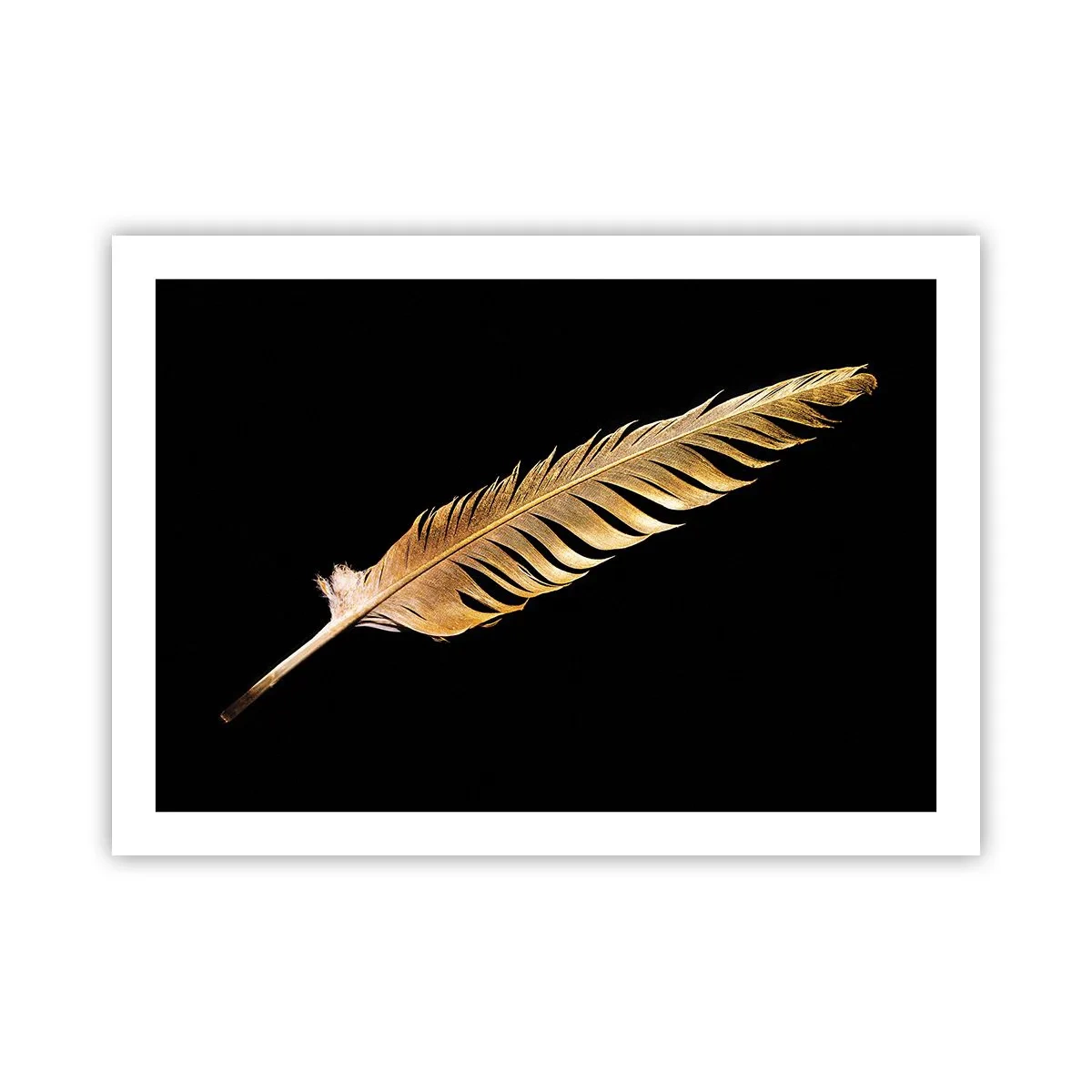 Poster - Pană aurie perfectă - 70x50 cm