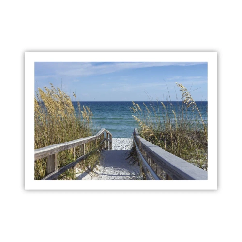 Poster - În soare, în vânt - 70x50 cm