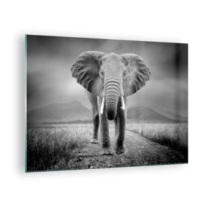 Tablou pe sticlă - Elefant în savană, în alb și negru - 70x50cm - Gazda te salută - Decorațiune modernă pentru perete pentru living și dormitor ARTTOR