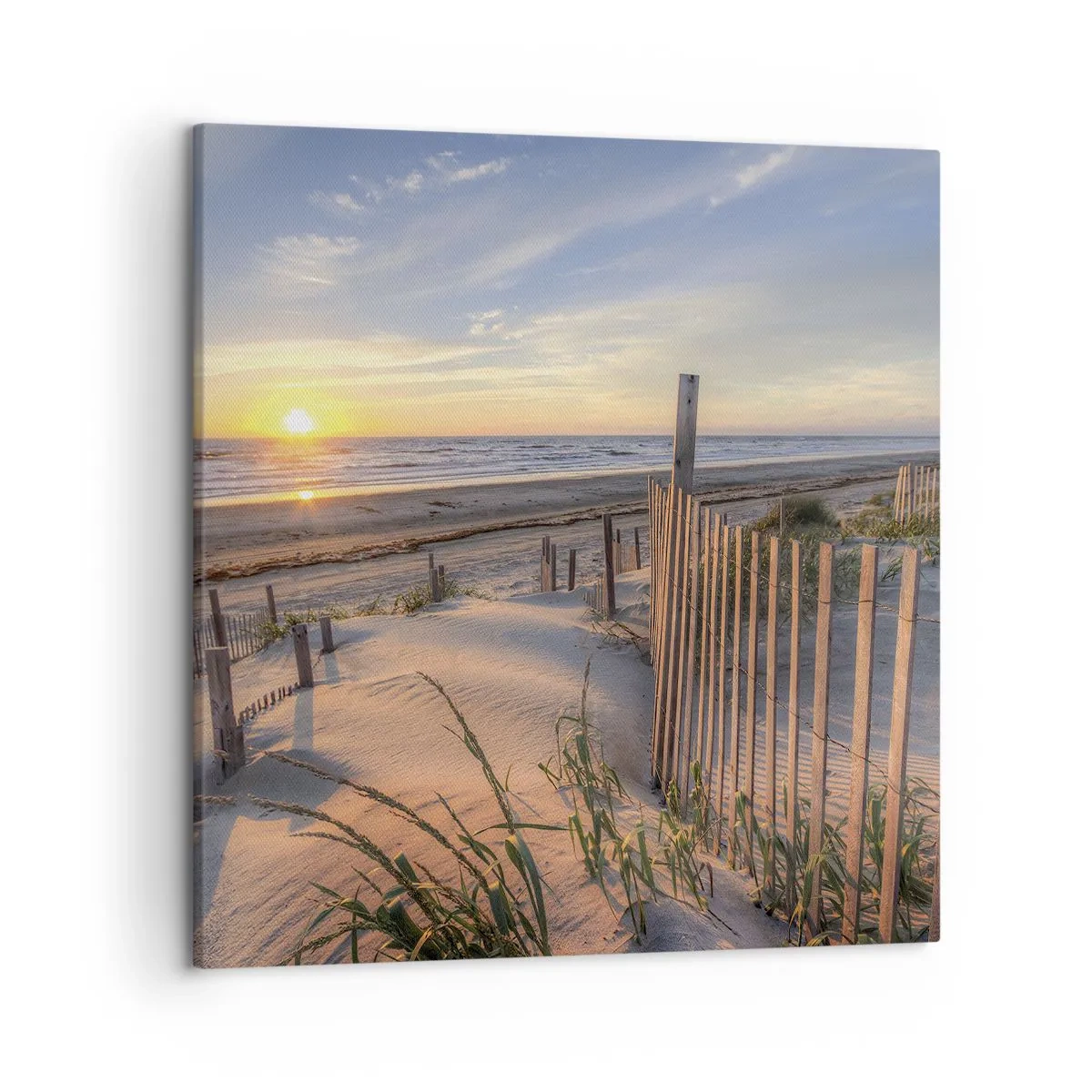 Tablou pe pânză - Strălucirea și umbra vântului - 50x50 cm