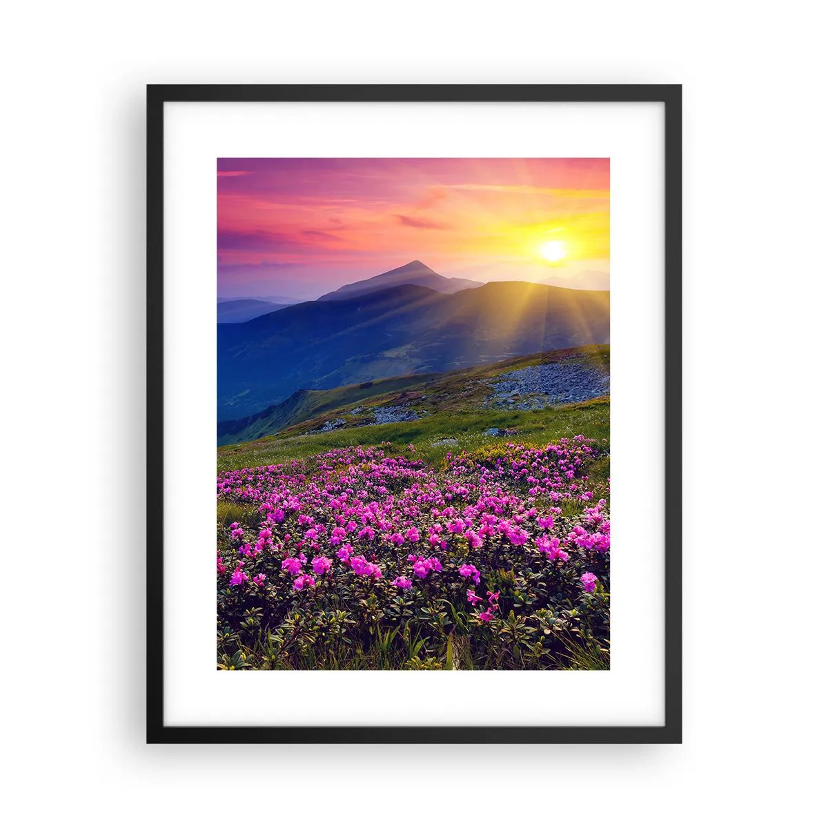 Poster în ramă neagră - ... Și peste tot în jur se simte un miros de jneapăn și parfum de ierburi... - 40x50 cm