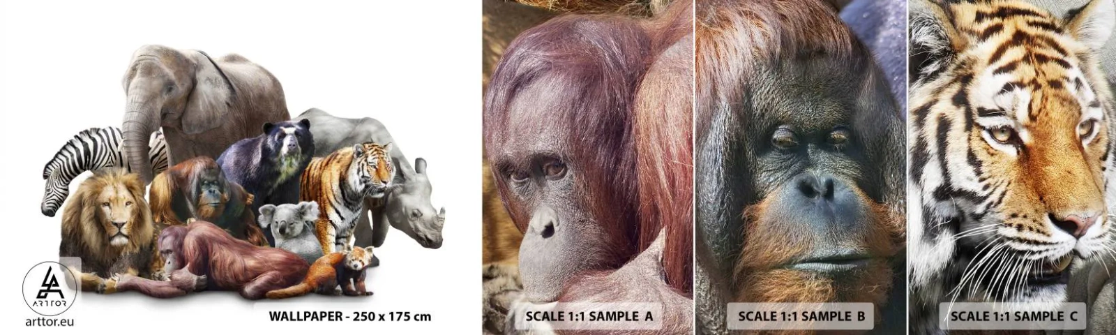 Mostră tapet autocolant Deluxe Sticker - Fotografia africană de familie - Abstracția, Animale, Cele cinci mari ale Africii - 100x30 cm