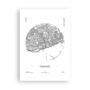 Poster - Anatomia Toronto - 70x100 cm