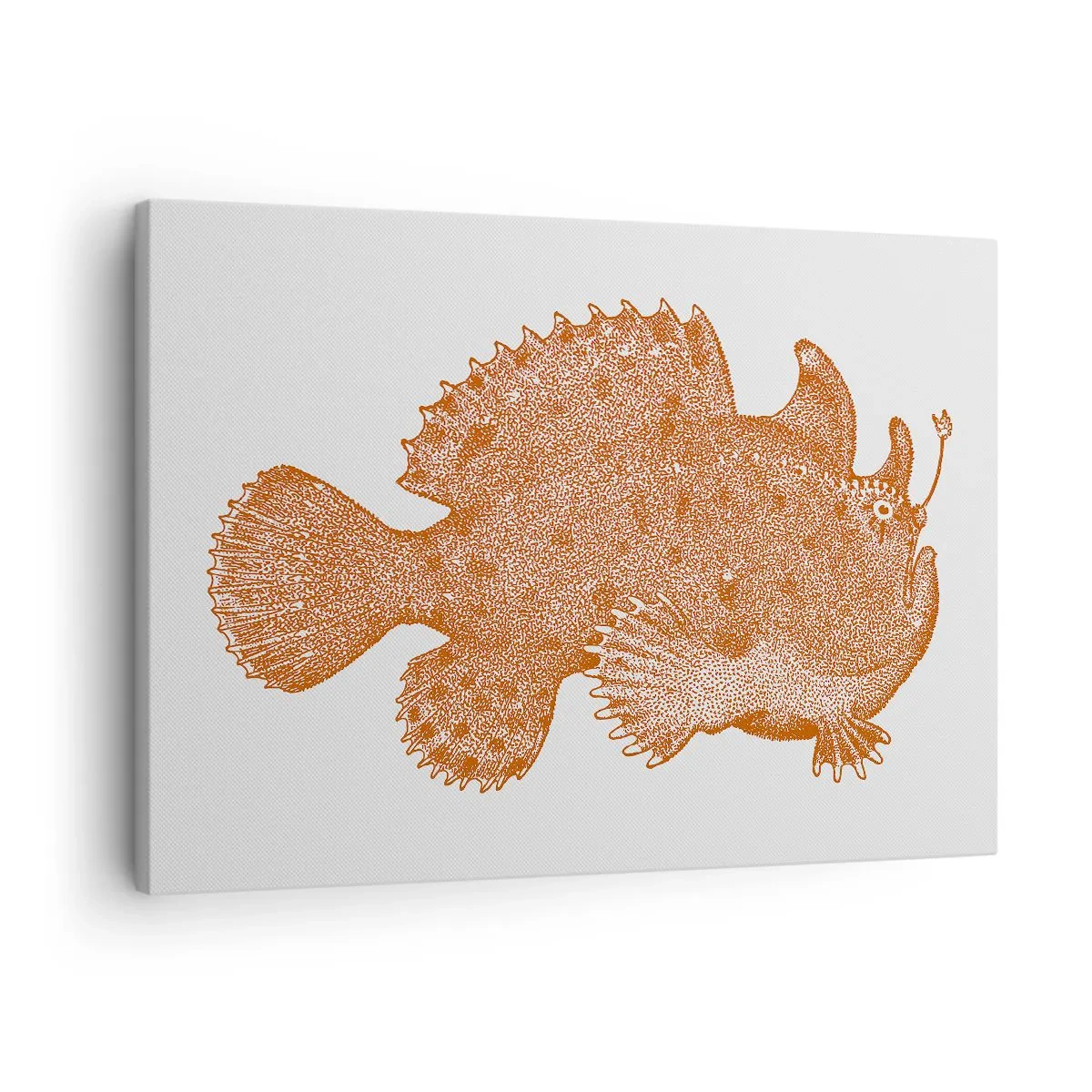 Tablou pe pânză Canvas - Desen detaliat al unui pește de culoarea cuprului pe fundal alb - 70x50cm - Și totuși este un peşte - Decorațiune modernă pentru perete pentru living și dormitor ARTTOR