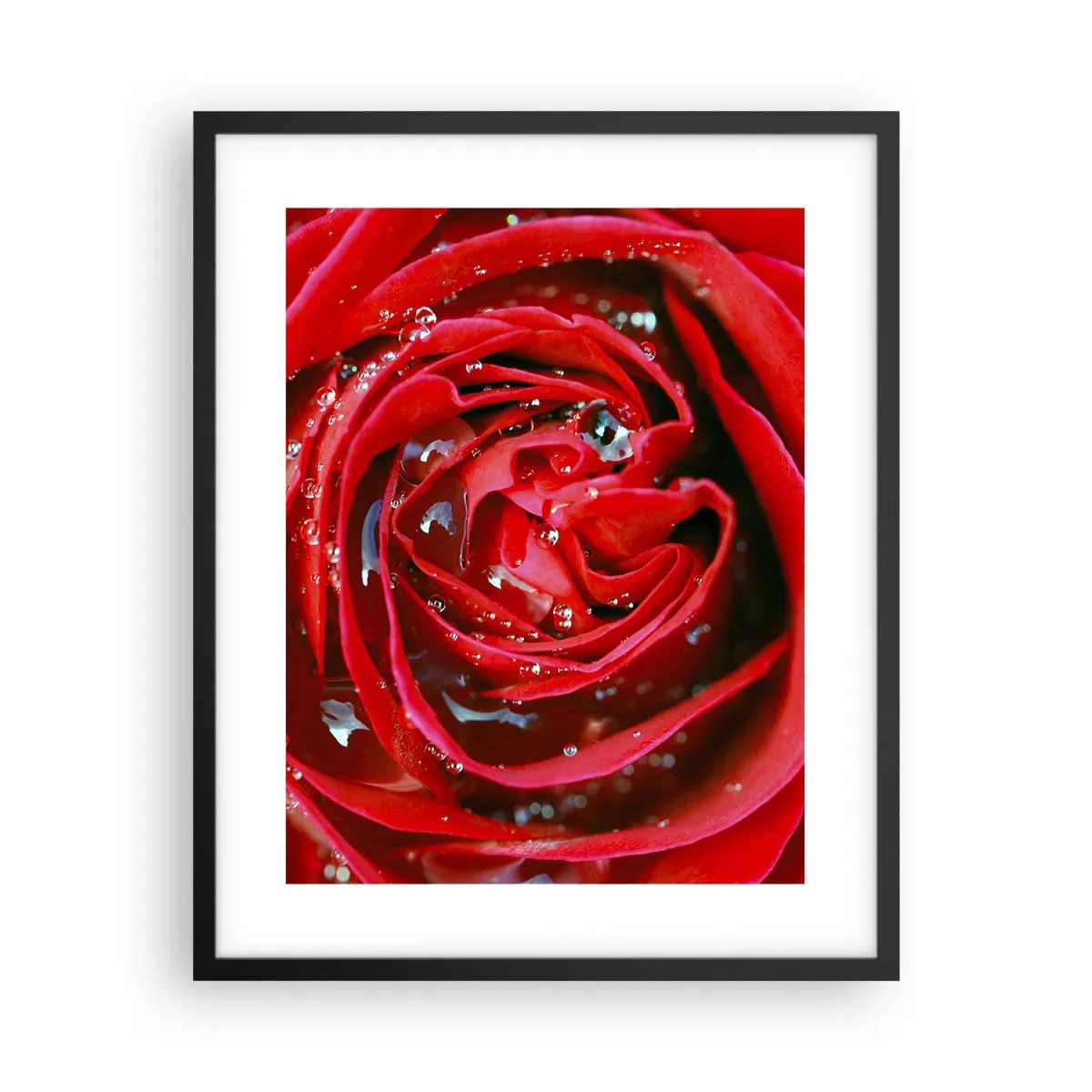 Poster în ramă neagră - În picături de rouă - 40x50 cm