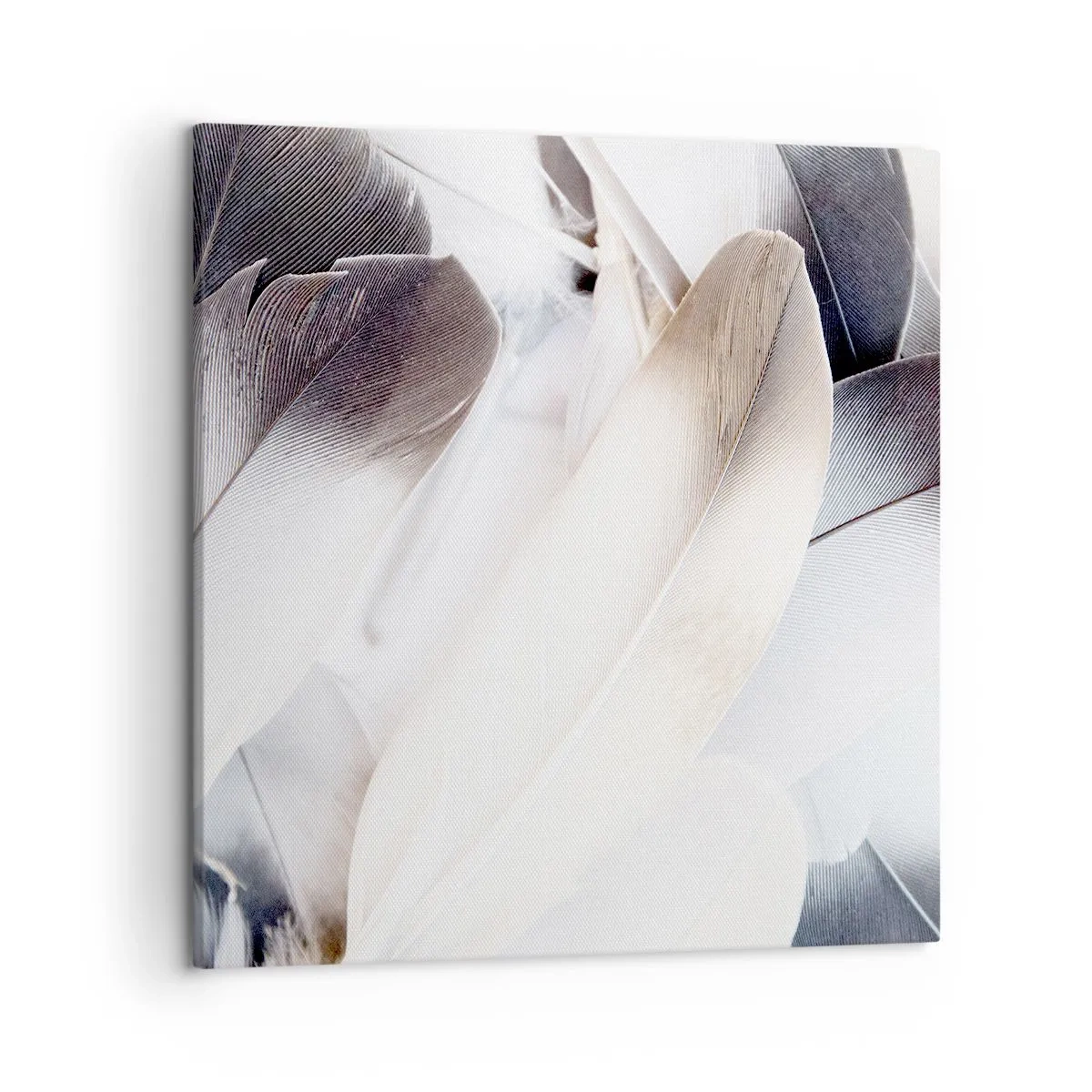 Tablou pe pânză - Aproape angelice - 50x50 cm