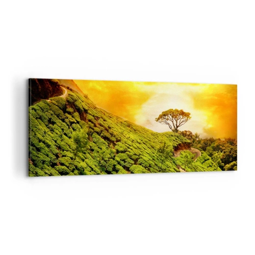 Tablou pe pânză - O cărare sinuoasă, o pantă verde - 100x40 cm