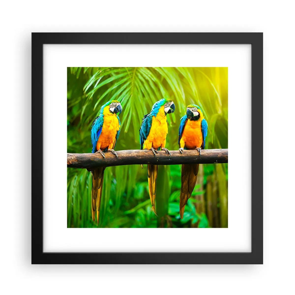 Poster în ramă neagră - Și ai auzit că ea...? - 30x30 cm