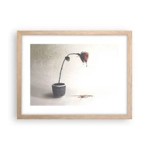 Poster în ramă de stejar deschis - Rosa dolorosa - 40x30 cm