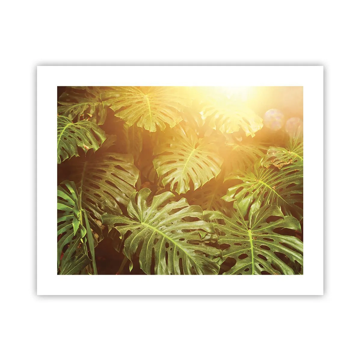 Poster - Poftiți în verde - 50x40 cm