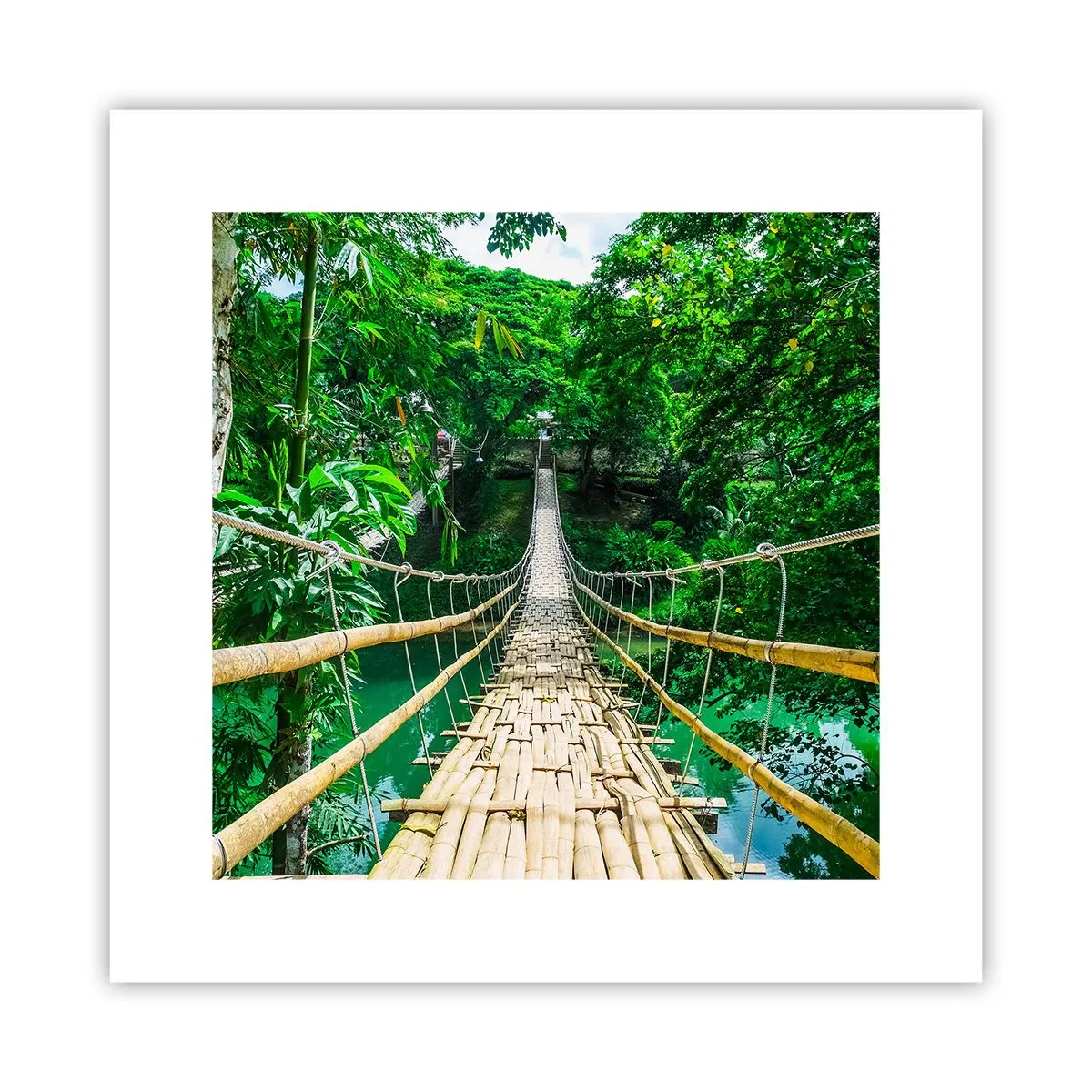 Poster - Pod de maimuțe peste verdeață - 30x30 cm