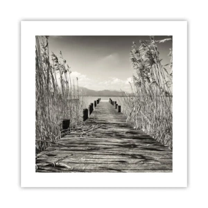 Poster - În intimitatea ierburilor - 40x40 cm