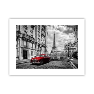 Poster - Prădător în oraș - 40x30 cm