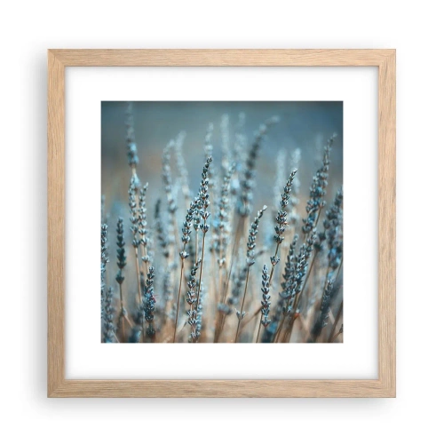 Poster în ramă de stejar deschis - Câmpul parfumat - 30x30 cm
