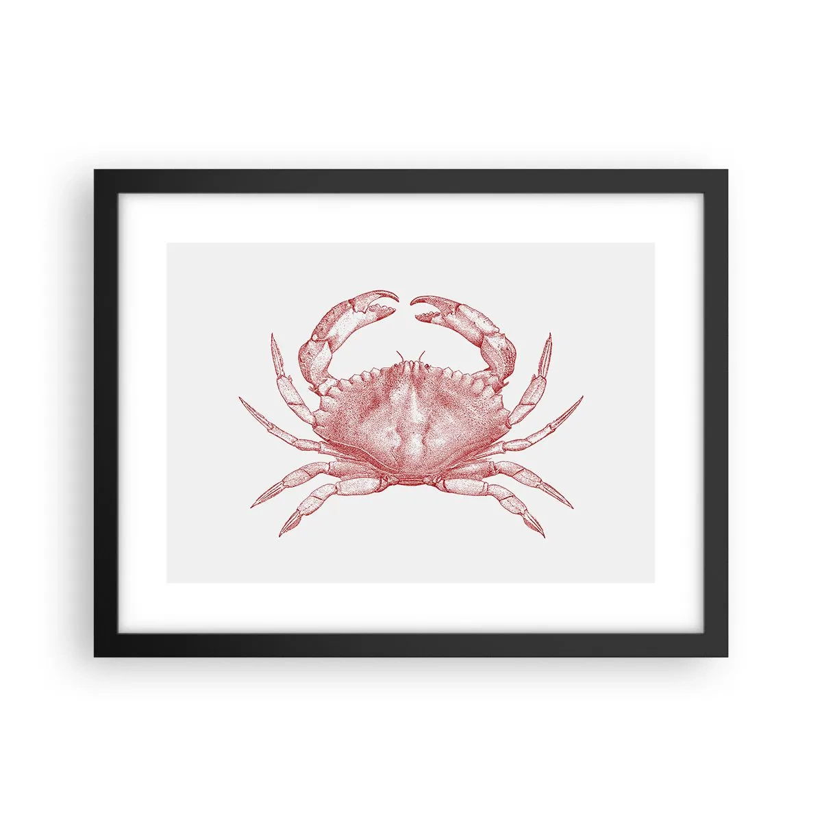 Poster în ramă neagră - Crab peste crabi - 40x30 cm