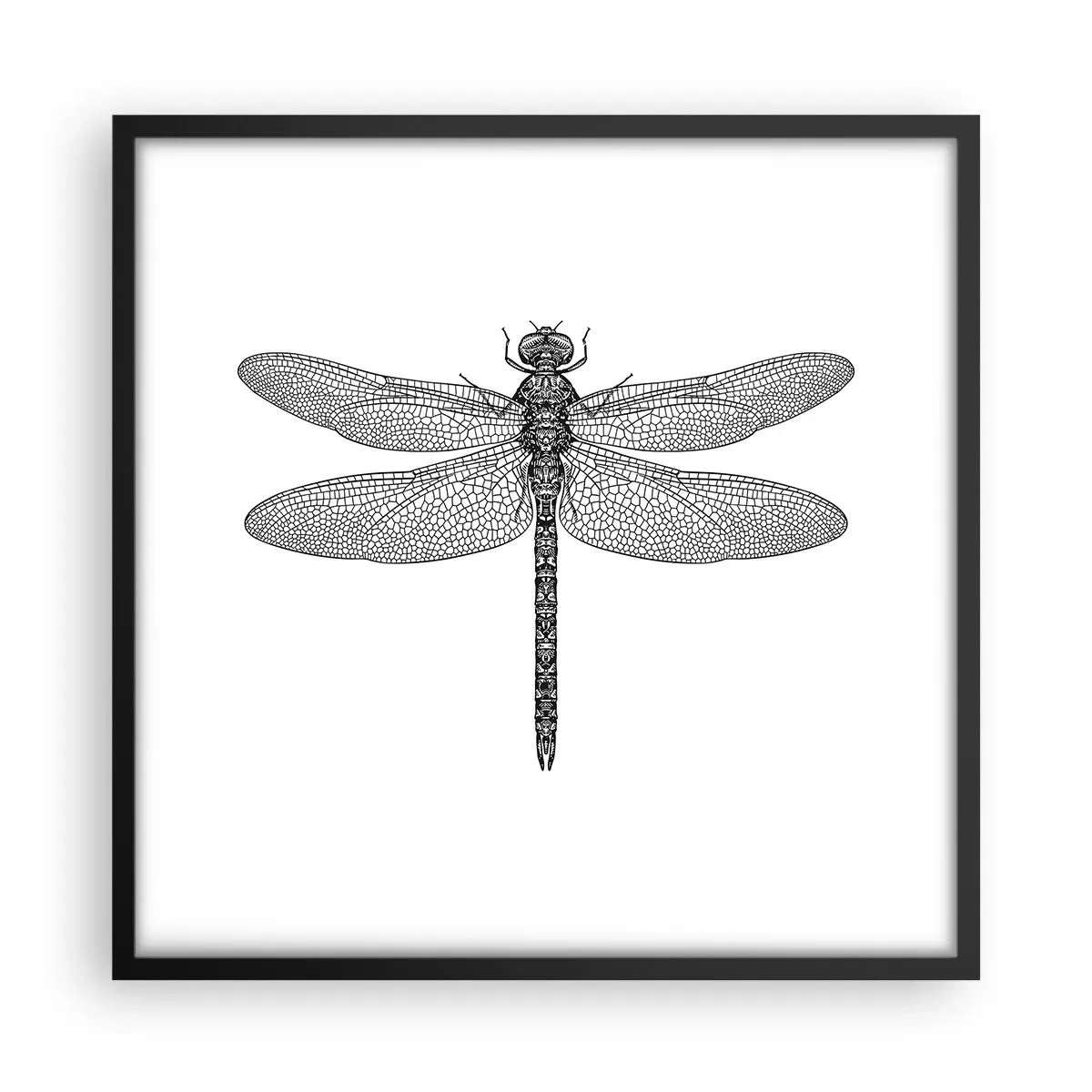 Poster în ramă neagră - Precizia naturii - 50x50 cm