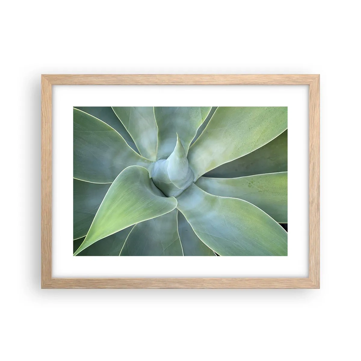 Poster în ramă de stejar deschis - Nașterea verdeții - 40x30 cm