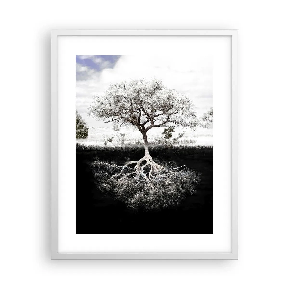 Poster în ramă albă - Descoperire - 40x50 cm