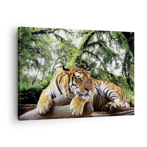 Tablou pe pânză Canvas - Un tigru care se odihnește într-o pădure tropicală - 70x50cm - Cu respect - Decorațiune modernă pentru perete pentru living și dormitor ARTTOR