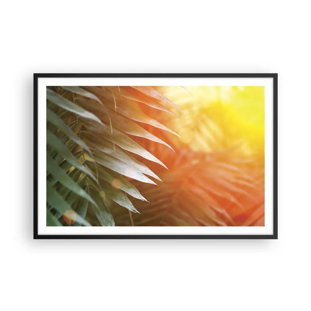 Poster în ramă neagră - Dimineață în junglă - 91x61 cm