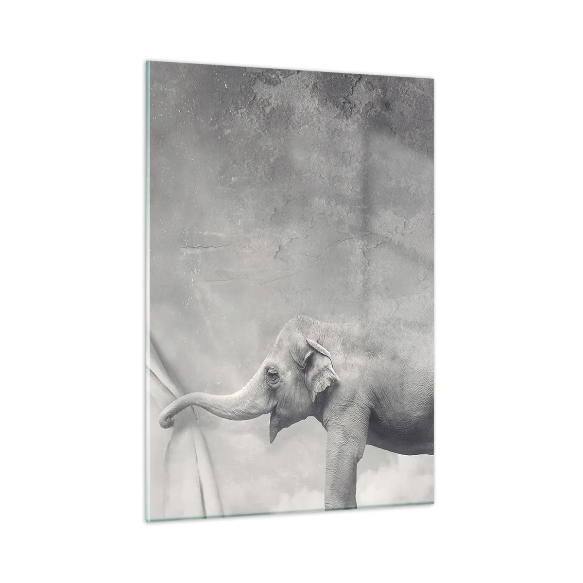 Tablou pe sticlă - Dezvăluirea misterului - 50x70 cm