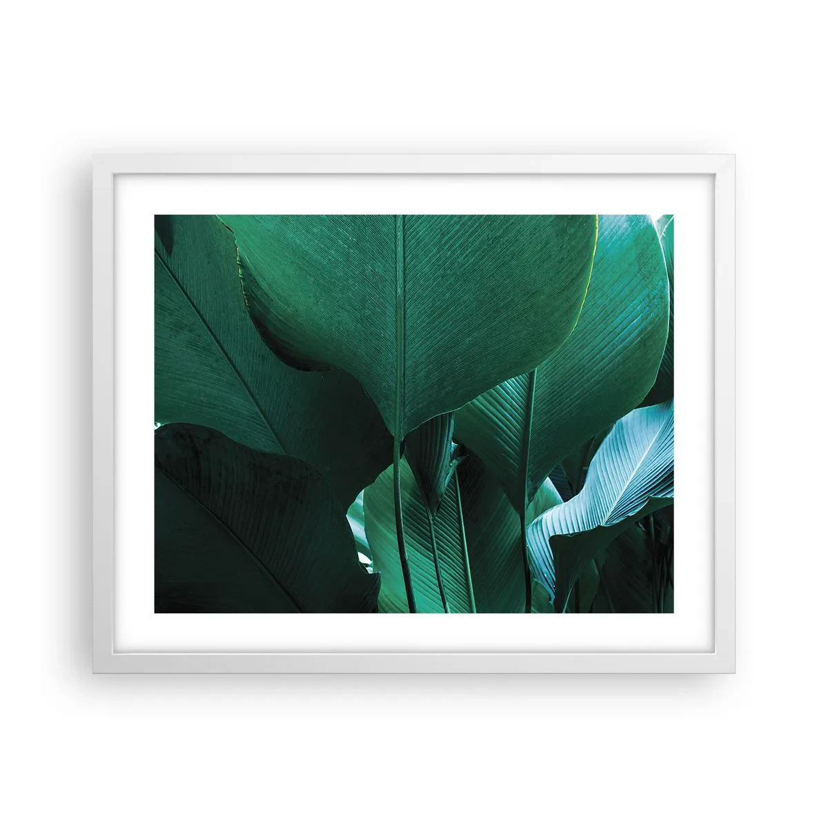 Poster în ramă albă - Cu frunza la lumină - 50x40 cm