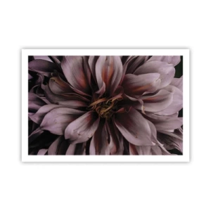 Poster - Inimă florală - 91x61 cm