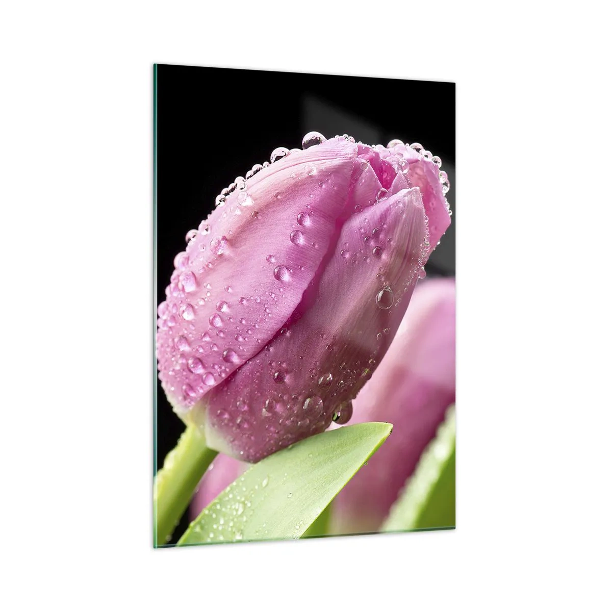Tablou pe sticlă - Un vis de liliac în rouă - 50x70 cm