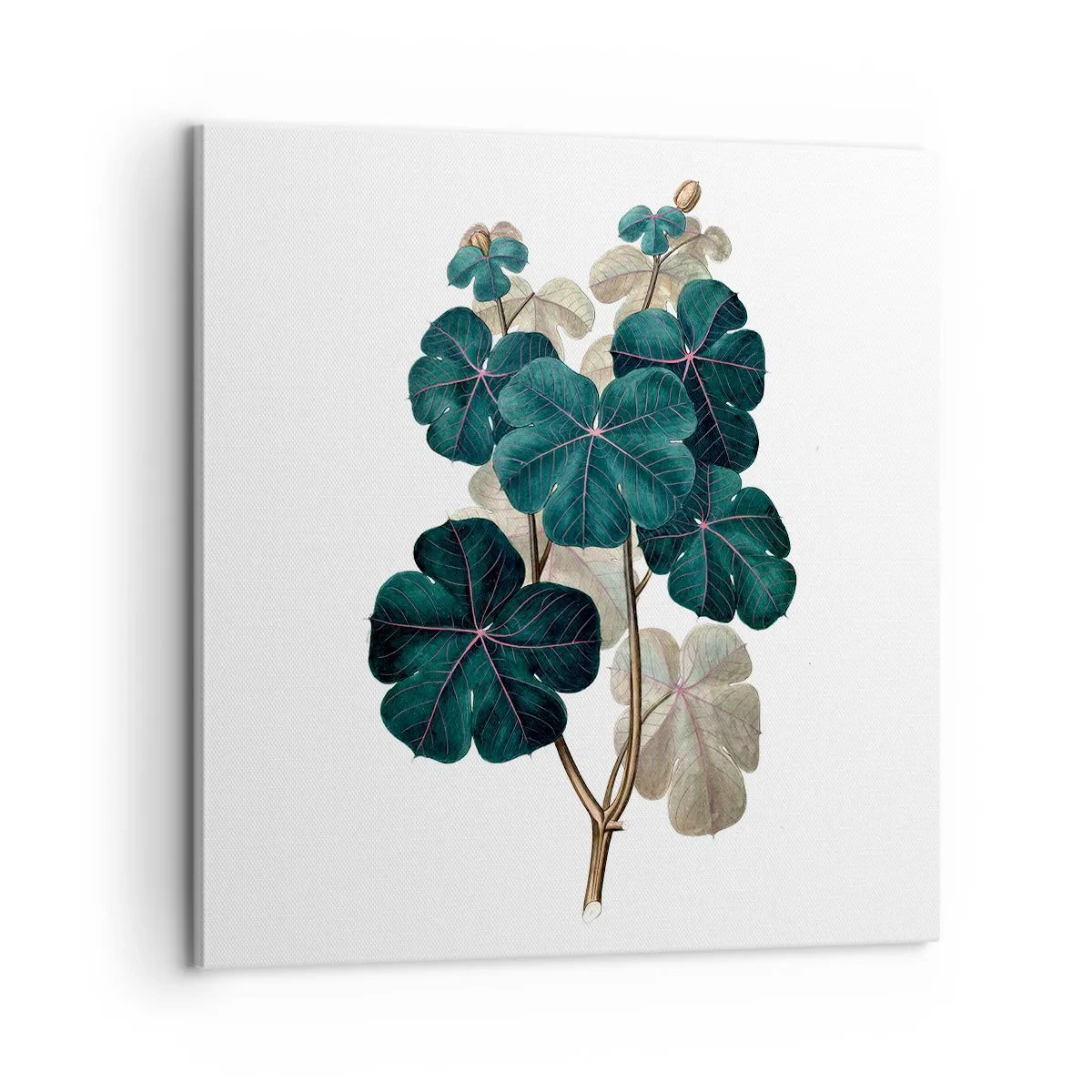 Tablou pe pânză - Dintr-un vechi ierbar - 60x60 cm