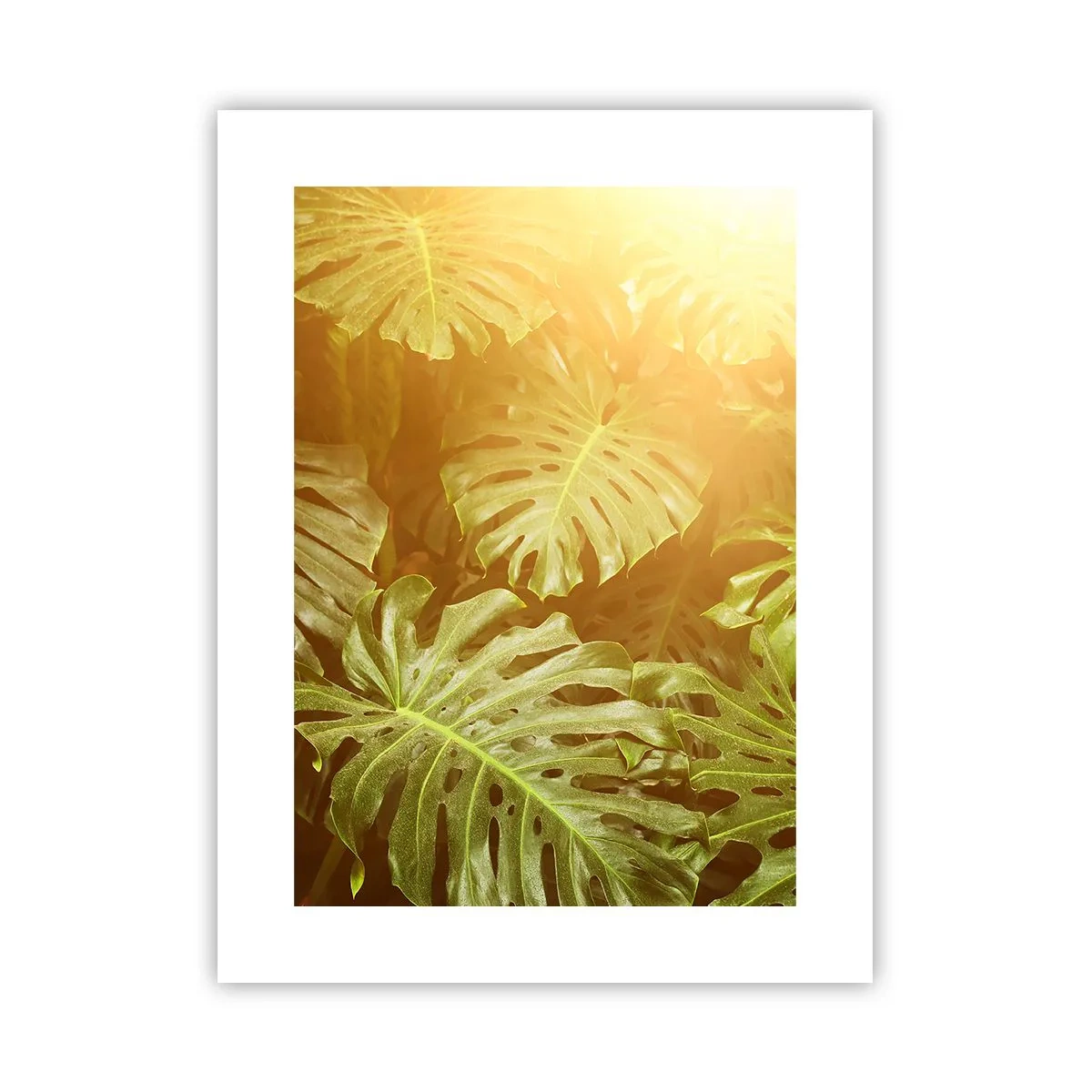 Poster - Poftiți în verde - 30x40 cm