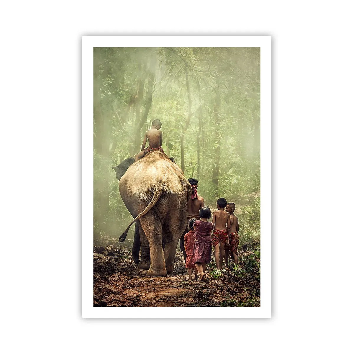 Poster - Noua Carte a Junglei - 61x91 cm