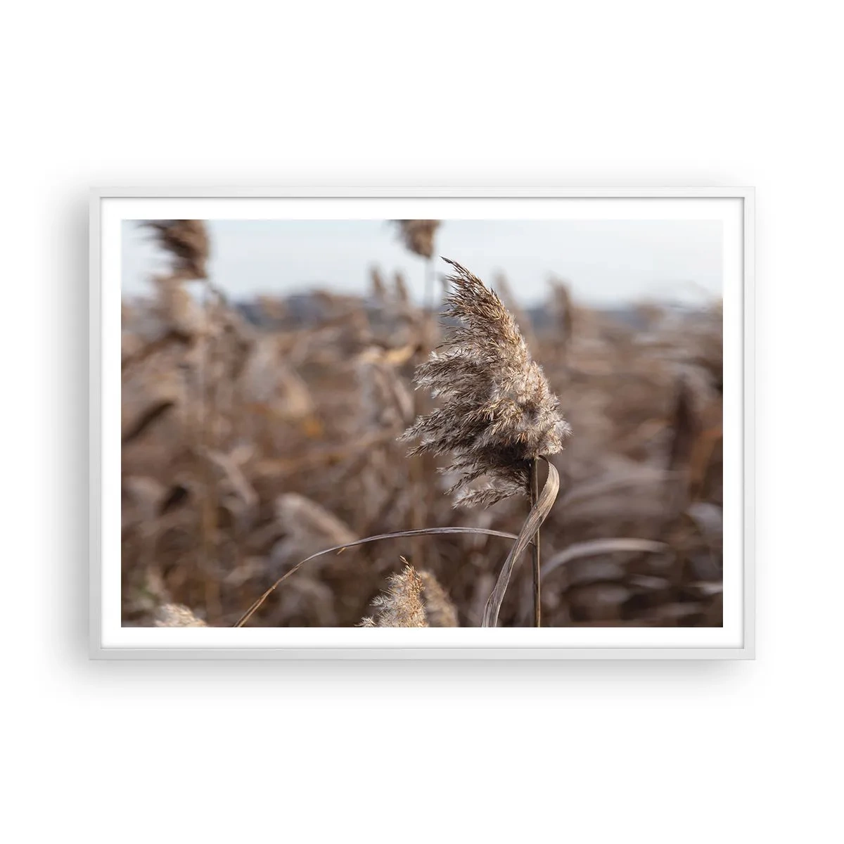 Poster în ramă albă - E timpul să zbori cu vântul - 100x70 cm