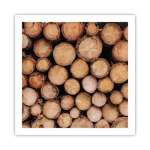 Poster - Un nou început - 60x60 cm