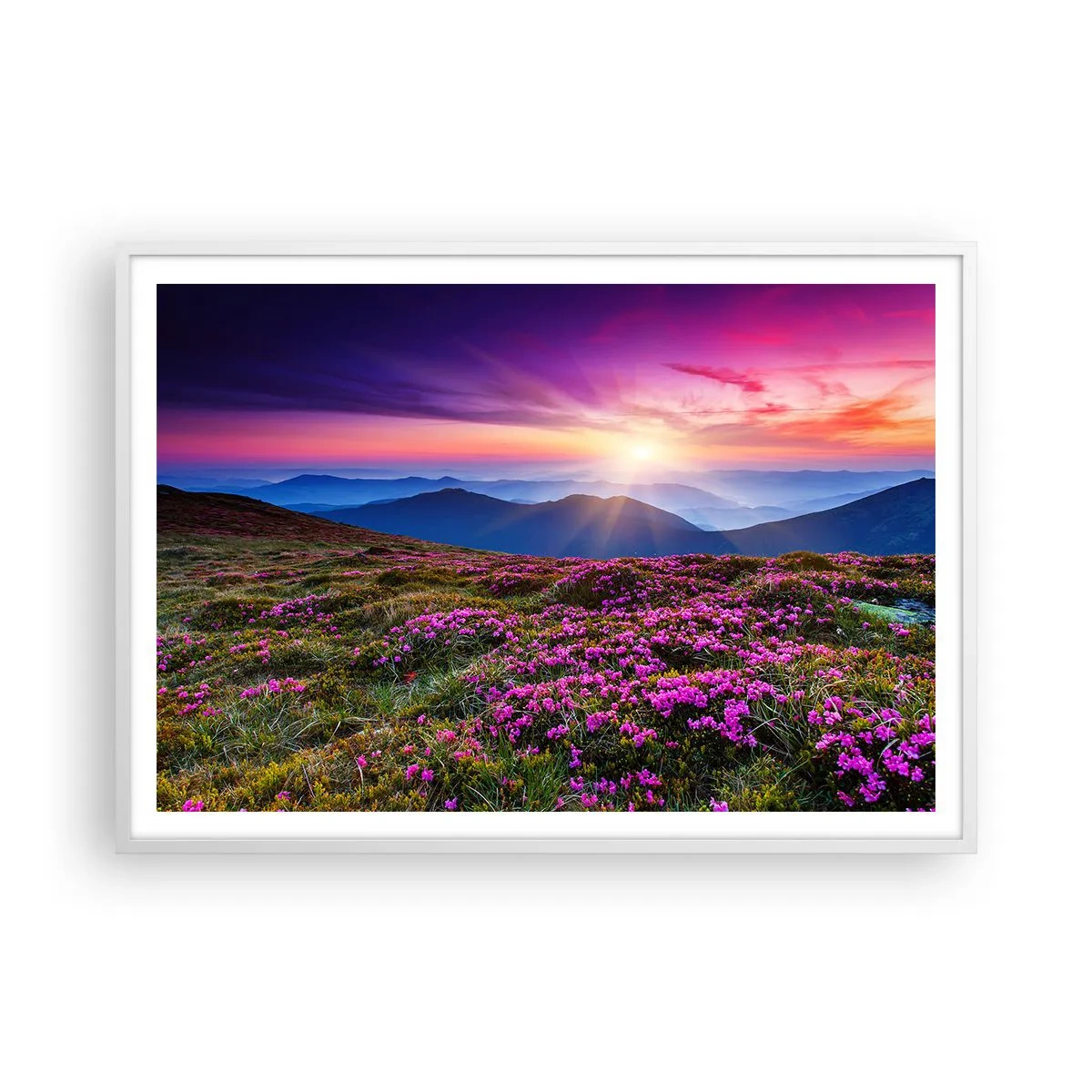 Poster în ramă albă - Ierburile proaspete miroseau puternic - 100x70 cm