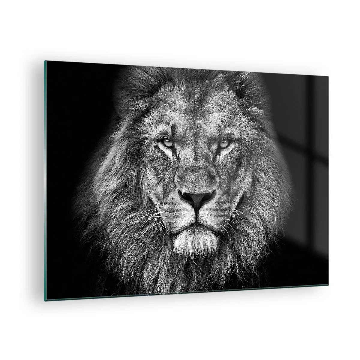 Tablou pe sticlă - Portretul unui leu în alb și negru cu o coamă maiestuoasă - 70x50cm - În ținuta de încoronare - Decorațiune modernă pentru perete pentru living și dormitor ARTTOR