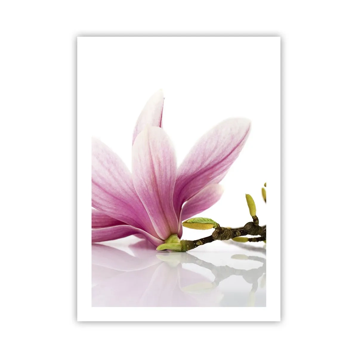 Poster - Delicate ca o adiere de primăvară - 50x70 cm