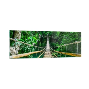 Tablou pe sticlă - Pod de maimuțe peste verdeață - 90x30 cm