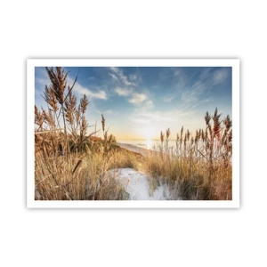 Poster - Plaja de nord - 100x70 cm