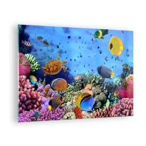 Tablou pe sticlă - Pești colorați și o broască țestoasă de mare pe un recif de corali - 70x50cm - Și ce știm noi despre viață... - Decorațiune modernă pentru perete pentru living și dormitor ARTTOR