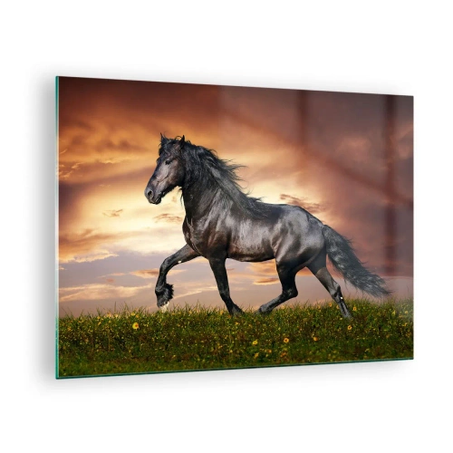 Tablou pe sticlă - Un cal negru galopând pe fondul soarelui apus - 70x50cm - Prințul negru - Decorațiune modernă pentru perete pentru living și dormitor ARTTOR