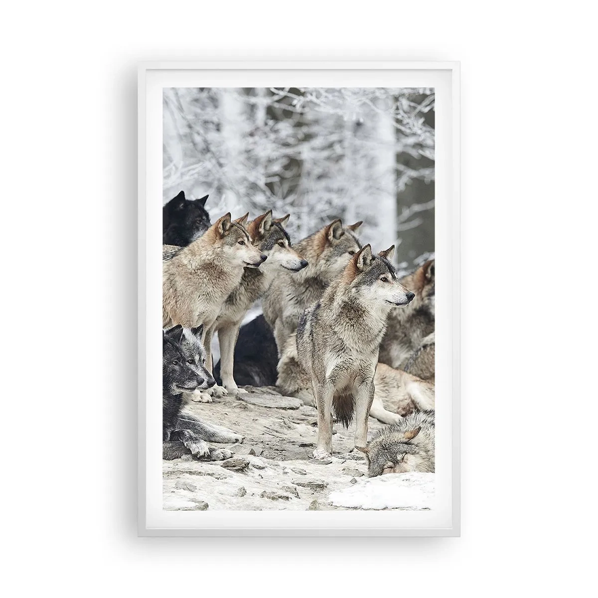 Poster în ramă albă - Familie și prieteni - 61x91 cm