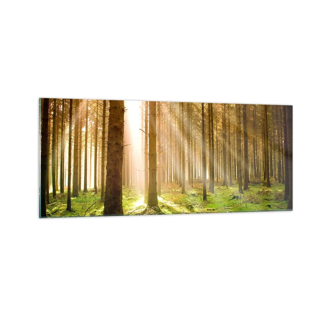 Tablou pe sticlă - Spiridușii sunt pe cale să apară - 100x40 cm