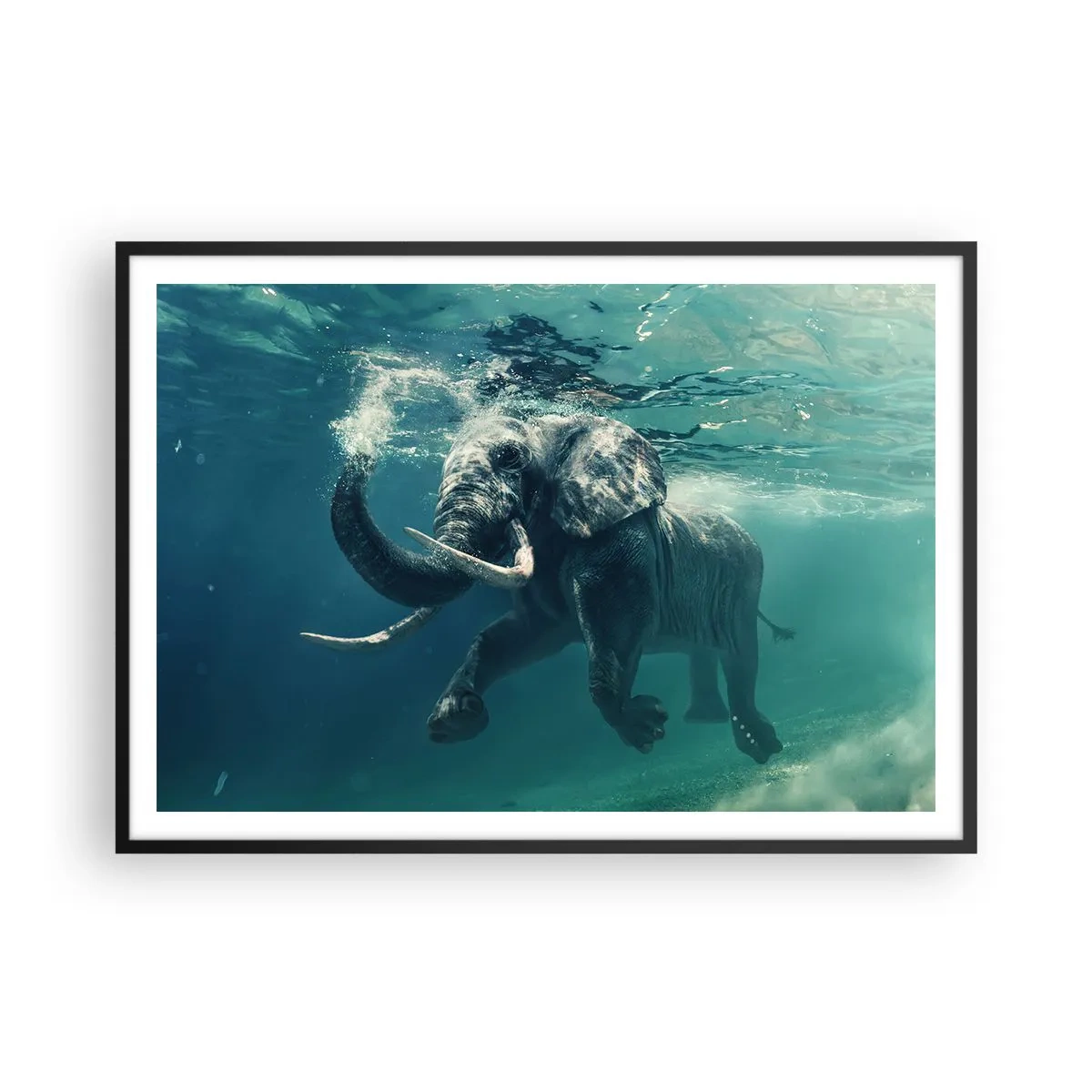 Poster în ramă neagră - Tuturor le place să înoate - 100x70 cm