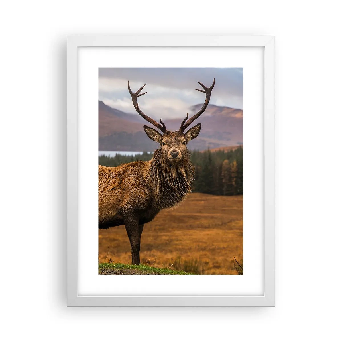 Poster în ramă albă - Măreția naturii - 30x40 cm