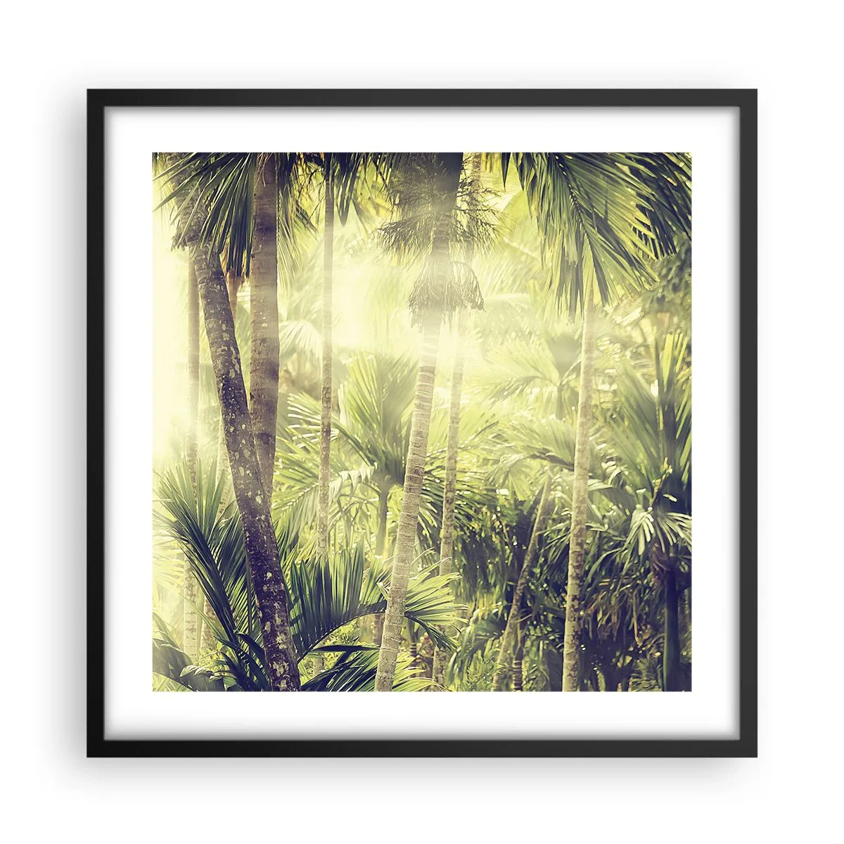 Poster în ramă neagră - Ardoare verde - 50x50 cm